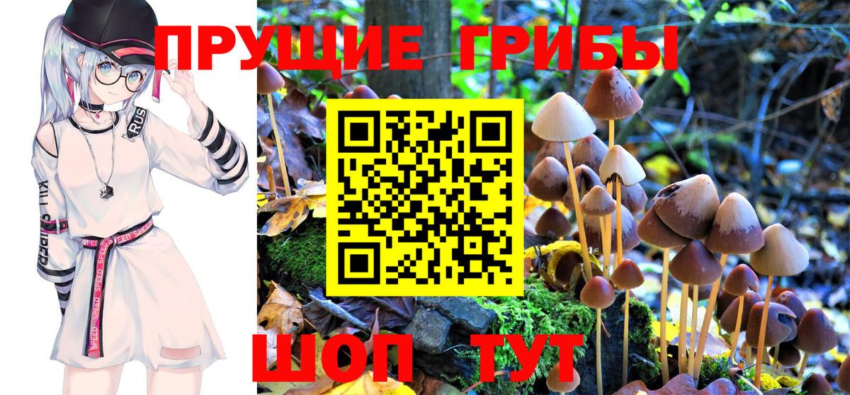 Саки  Галлюциногенные грибы Psilocybine cubensis  Галлюциногенные грибы MAGIC MUSHROOMS  Вход с VPN 