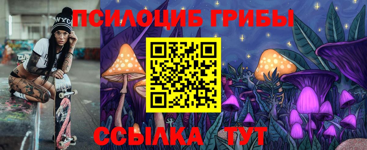 Галлюциногенные грибы Psilocybe Саки